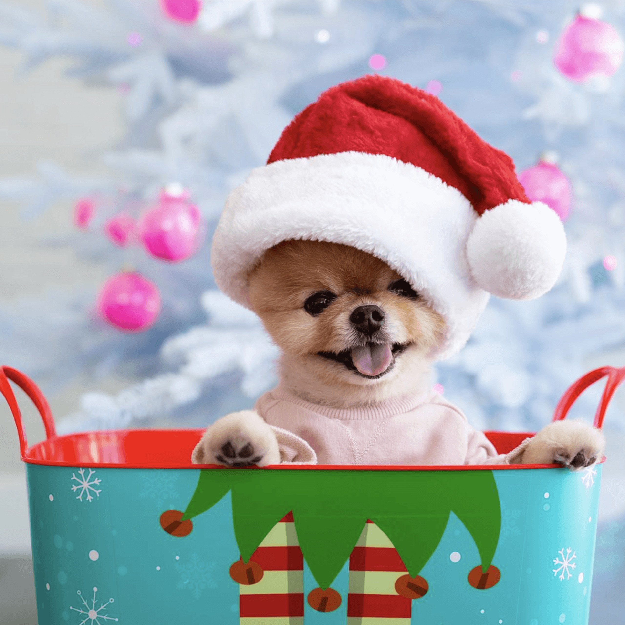 IMAGE 2025-07-20 19:41:12